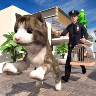 流浪猫模拟器最新版(My