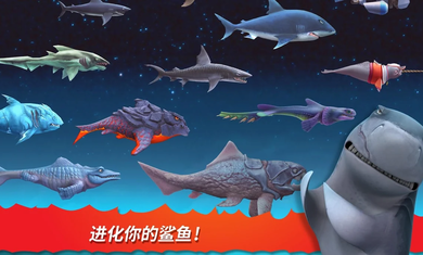 饥饿鲨进化(不用实名认证版)
