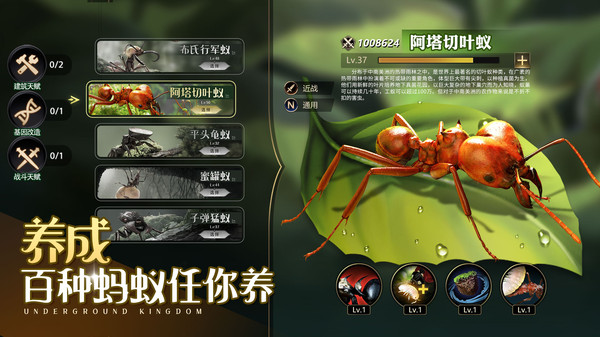 小小蚁国修改器