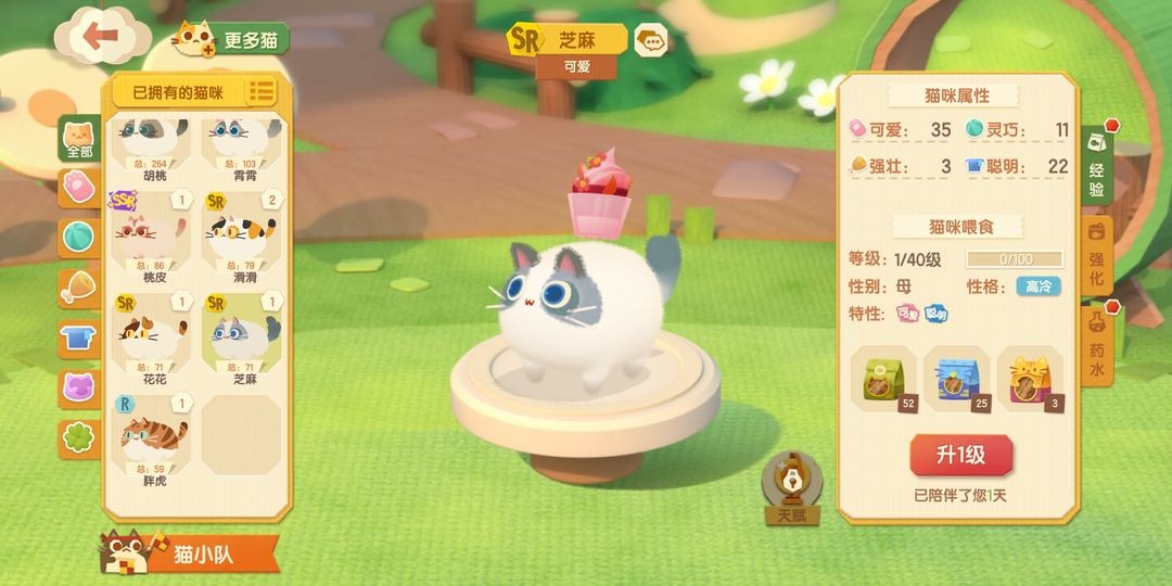 猫咪公寓2