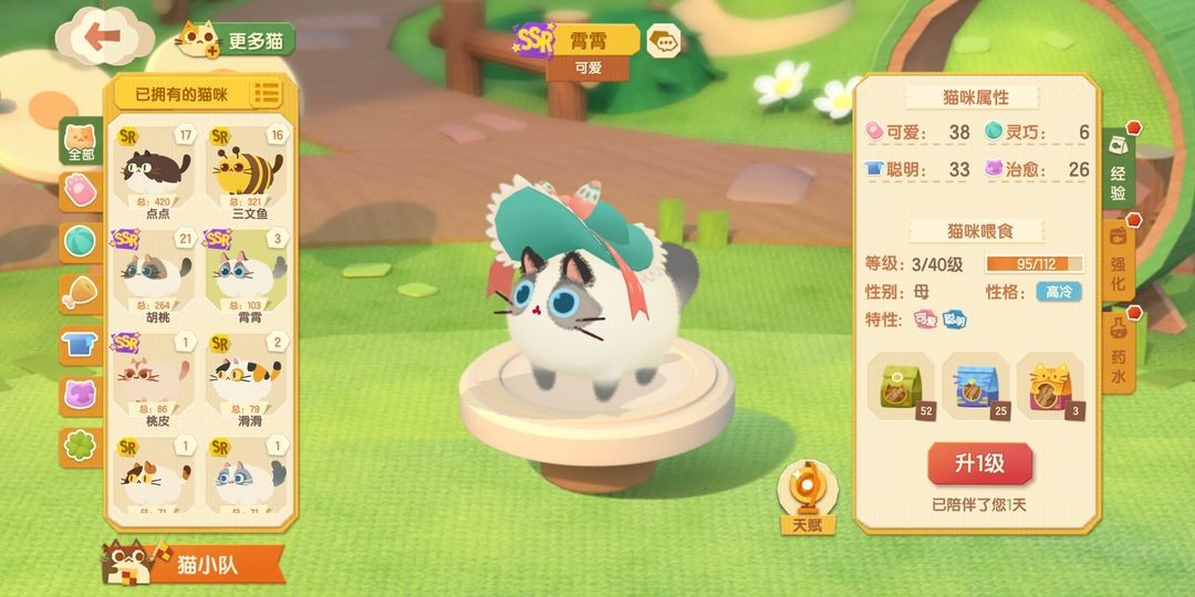 猫咪公寓2