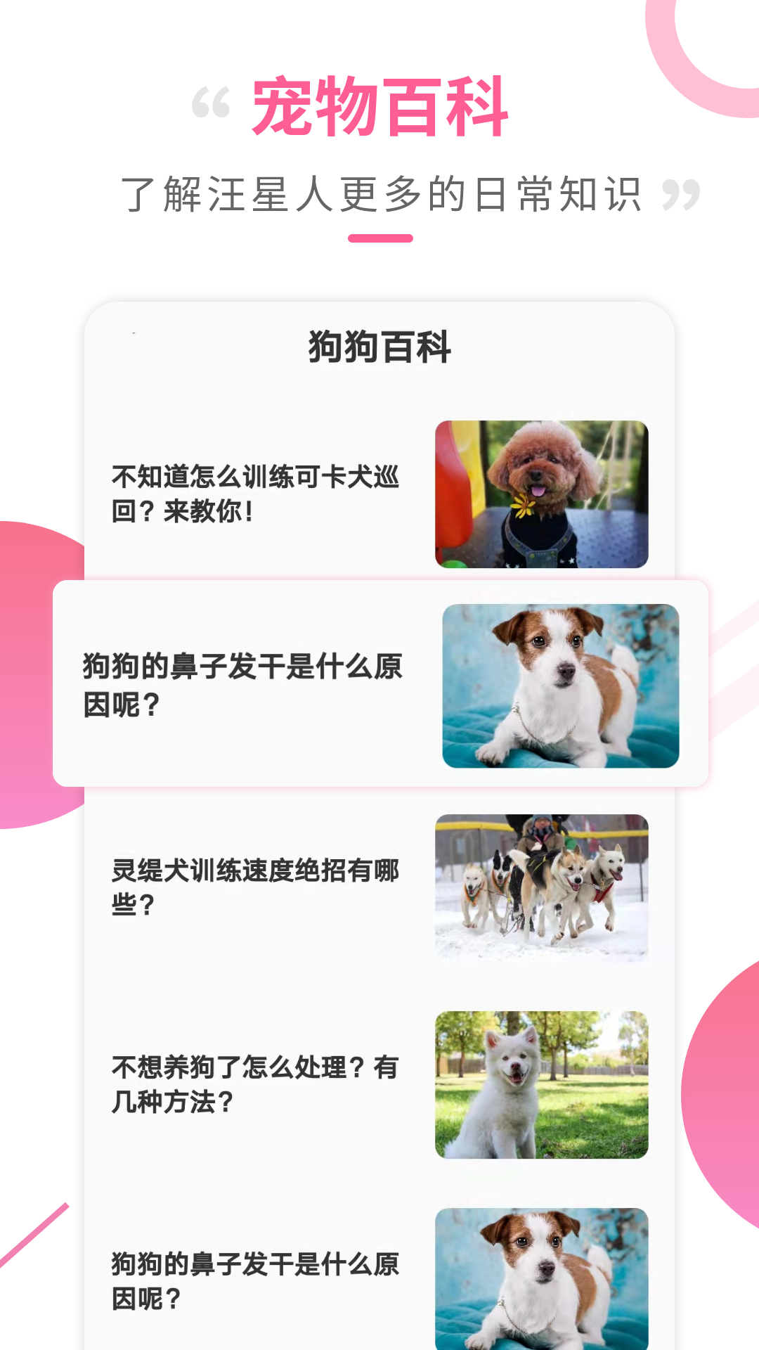 狗语翻译器app中文版截图3