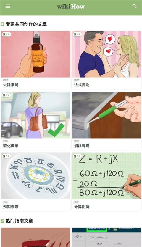 wikiHow维基百科截图2