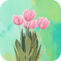 壁纸最美图片app手机版