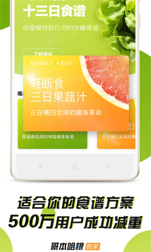 哥本哈根减肥法截图1
