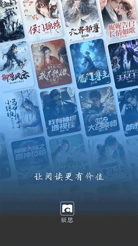 辰思小说