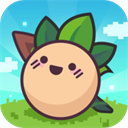 大头菜菜历险记