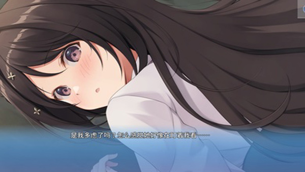 角色扮演之恋极乐公主截图