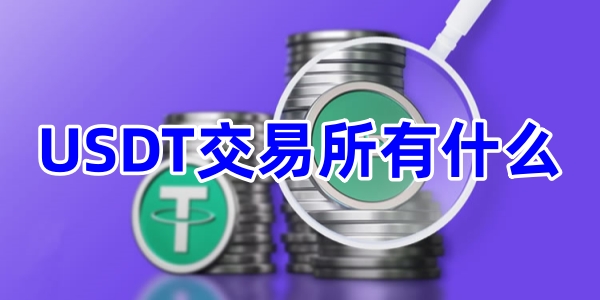 USDT交易所有什么