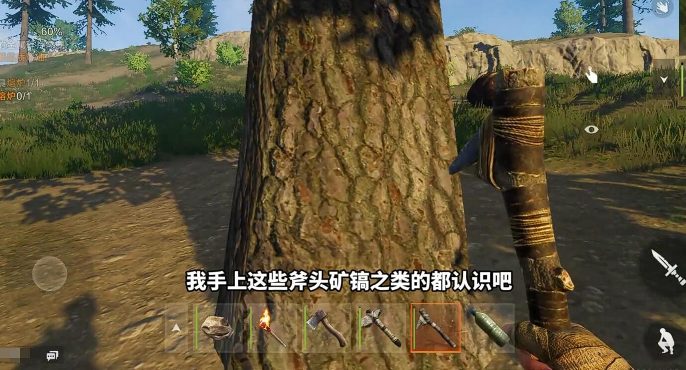 失控进化开局如何发育