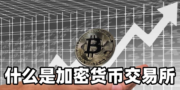 什么是加密货币交易所