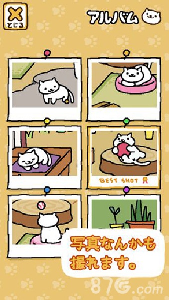 猫咪后院截图5