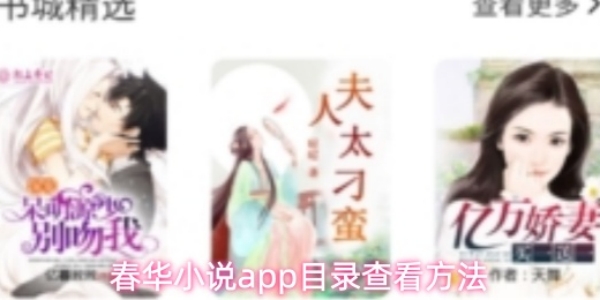 《春华小说》目录查看方法