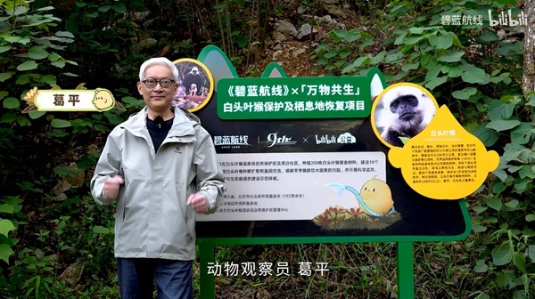 《碧蓝航线》九周年活动有什么内容