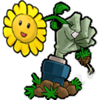 植物大战僵尸大哥版