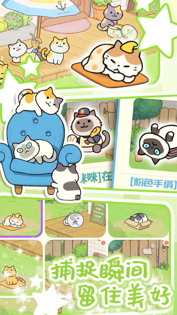地铁遇见猫截图3