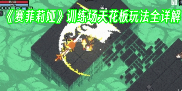 《赛菲莉娅》训练场天花板玩法全详解