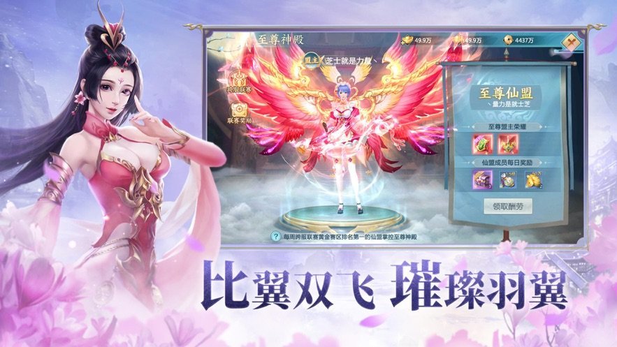 赘婿情缘