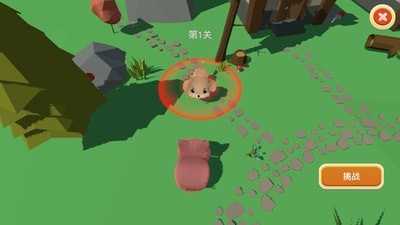 格斗小动物中文版