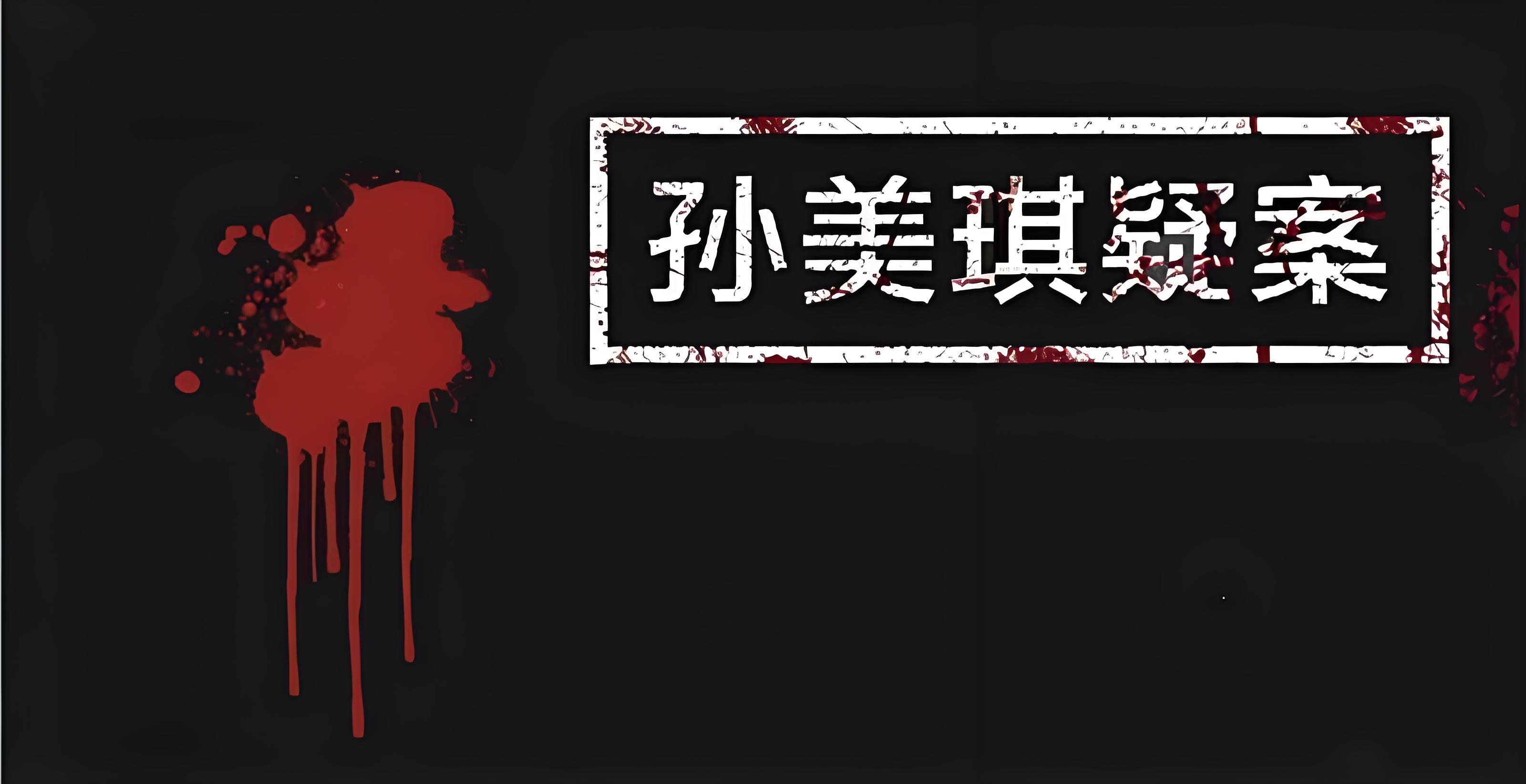 孙美琪疑案系列
