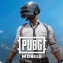 PUBG 4.6