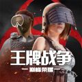 代号英雄