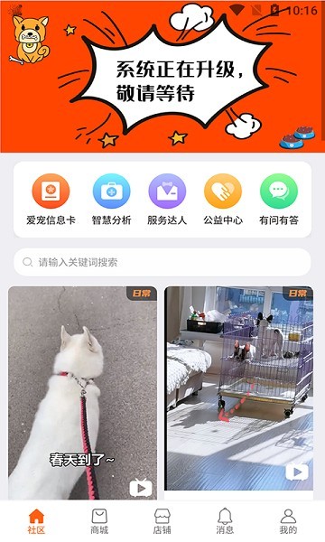 世纪天宠