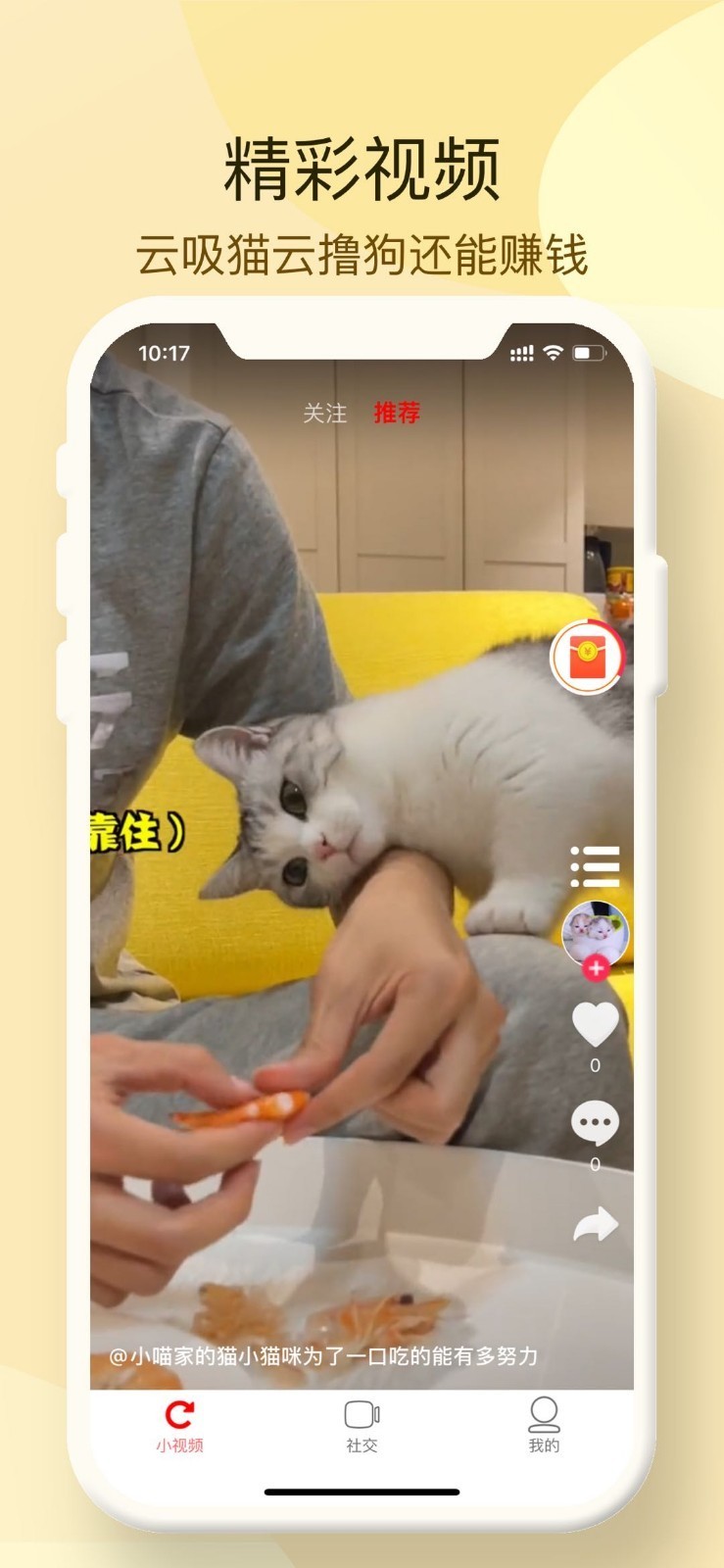 小萌猫截图2