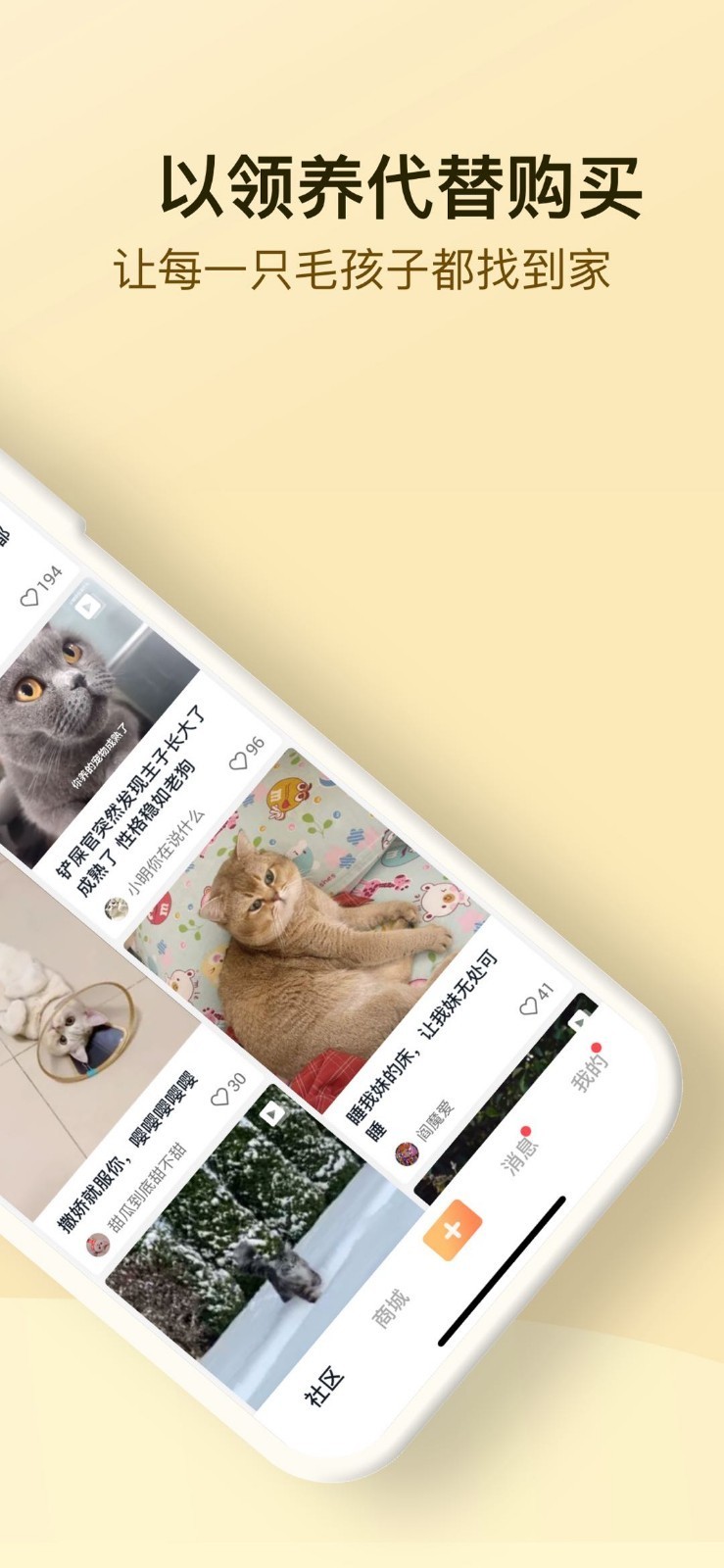 小萌猫截图4