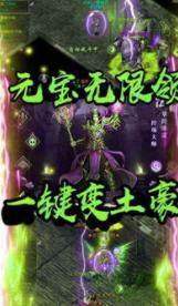 圣龙武魂单职业