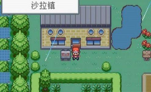 口袋妖怪格查尔Quetza