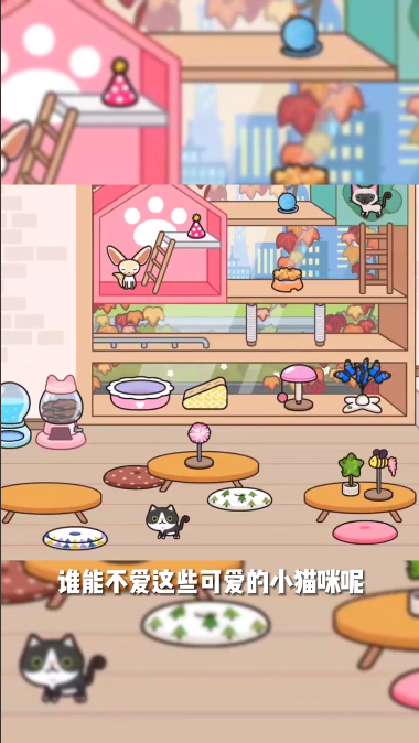 米加小镇猫咖馆