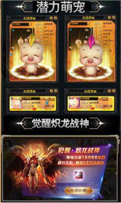 冰雪之巅单职业版