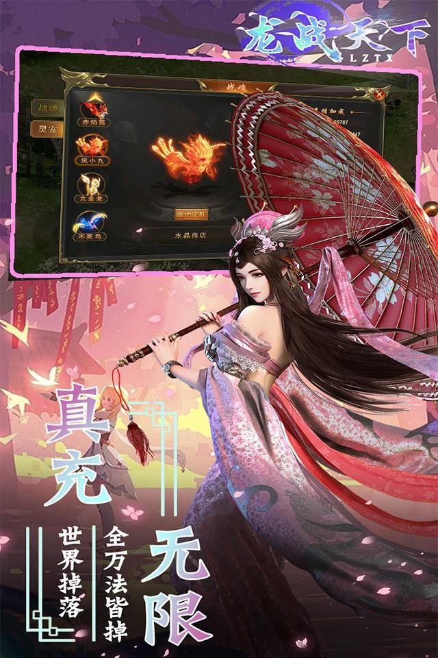 龙战天下暗黑秘影