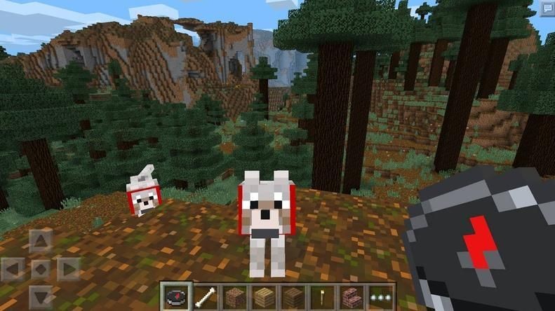 我的世界1.19.60.20基岩版