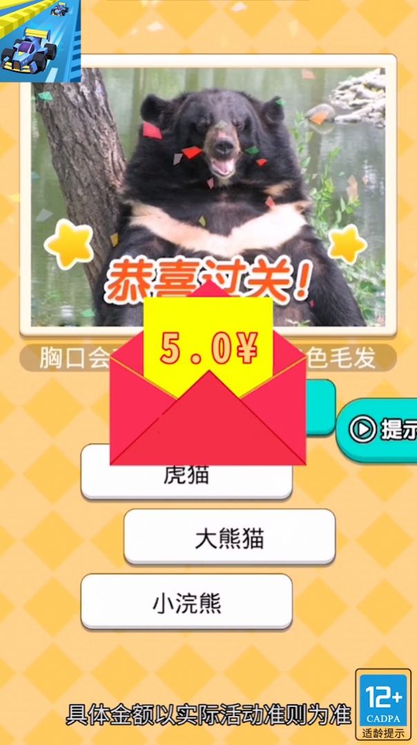 飞飞小车手正式版