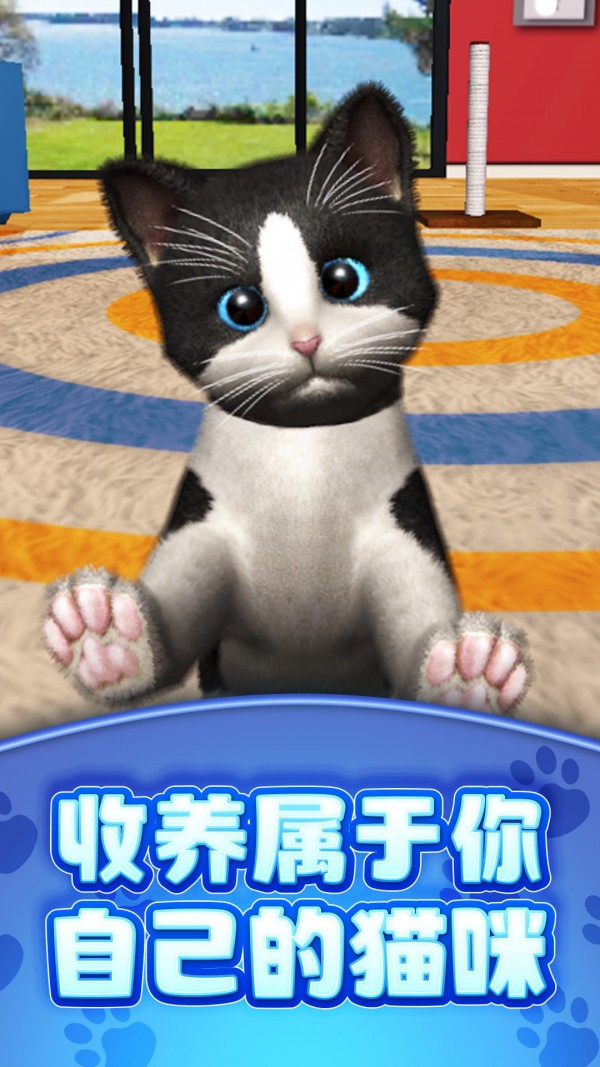 真实模拟宠物