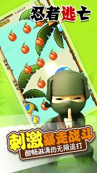 忍者逃亡