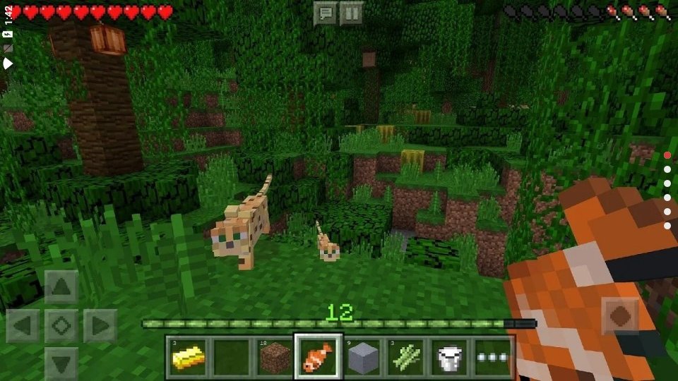 我的世界国际版(MINECRAFT)