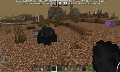 我的世界1.16版本