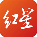 红星新闻app分析安卓版